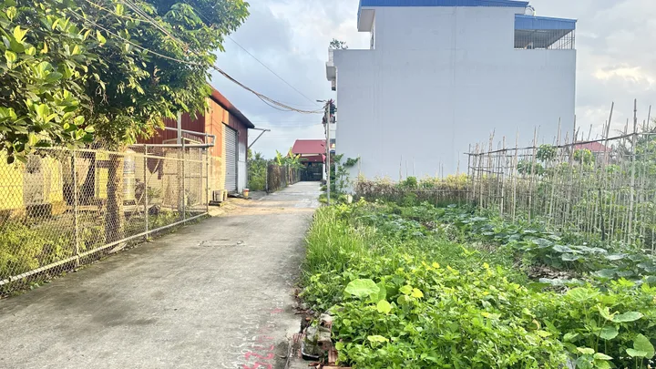 Bán Đất Xích Thổ An Hải – 54m² Ô Tô Vào Tận Đất Giá Chỉ 1,25 Tỷ