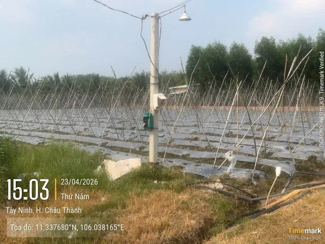 Bán đất hẻm 3m, ấp suối dộp, xã Thái Bình, Châu Thành, Tây Ninh.