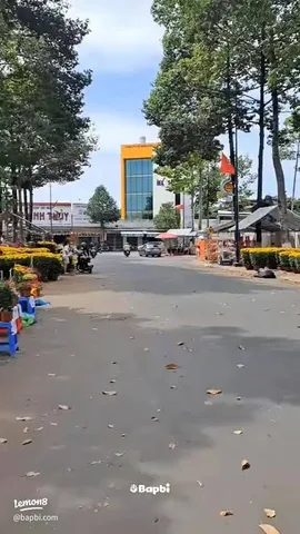 Bán đất 100.3m² full thổ cư ngang 5m giá 7.5 tỷ tại Đường Tôn Đức Thắng Xã Long Thành