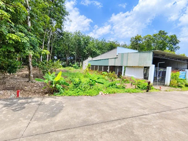 Bán đất 353.1m² có sẵn 100m² thổ cư ngang 7m giá 790 triệu tại Xã Phước Hòa