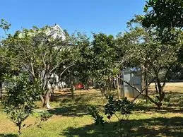 Chủ ngộp cần bán gấp đất vườn Bàu Bàng  Ngang 17m  Từ 1.500 – 2.000+ m² Sổ hồng sẵn
