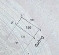🌴 ĐẤT NỀN 53M2, NGANG 4.9M, VUÔNG VỨC, ĐƯỜNG Ô TÔ, GẦN CHỢ LONG PHƯỚC.(A)
