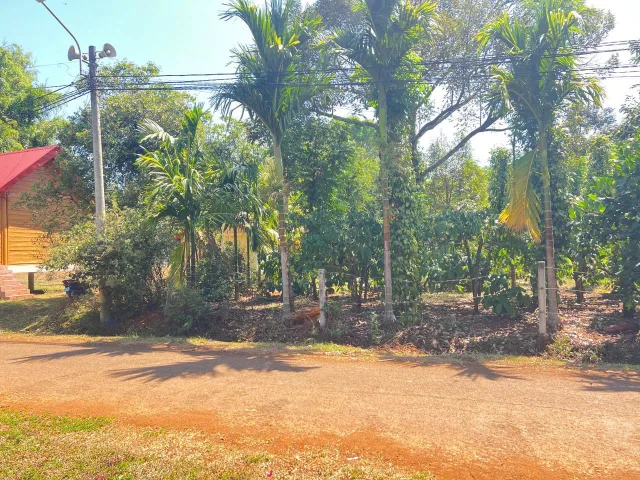 Bán đất 125m² có sẵn 60m² thổ cư ngang 5m giá 1.55 tỷ tại Phường Tân An