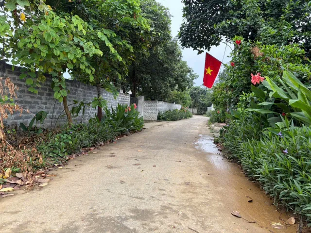 🌿 BÁN 150m² ĐẤT TẠI THÔN ĐA CUỐNG – YÊN BÀI 🌿