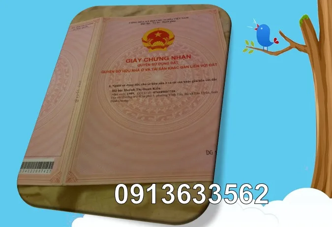 🌻Bán đất Đồng Xoài – Bình Phước, tổng diện tích 3.000m², vị trí gần trung tâm. 0913633562