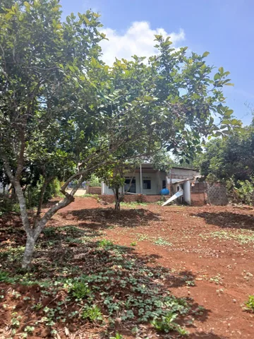 Cần bán gấp nhà vườn chôm chôm, sầu riêng ở Đồng Nai (Bình Phước), 4000m2, 200m2 thổ cư, có nhà cấp 4