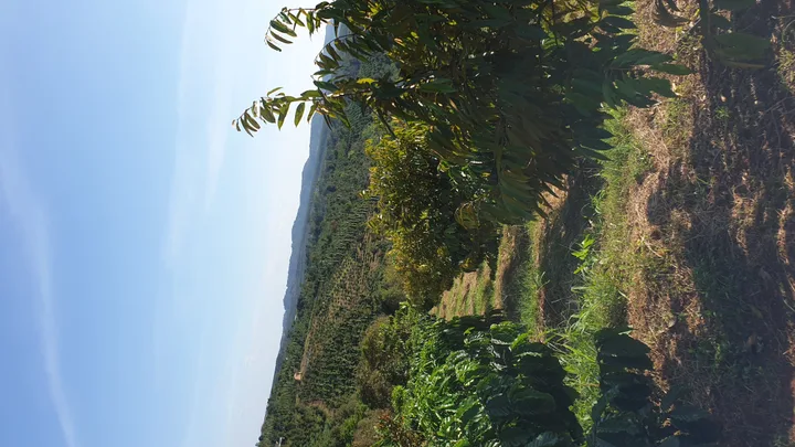 Bán Đất Tặng Nhà Sàn.