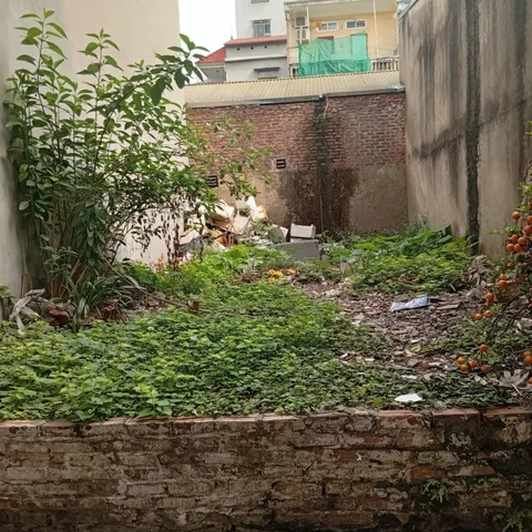 LÊ VĂN HIẾN 50M2 MT 5M - ĐẤT VÀNG TRUNG TÂM - Ô TÔ - GẦN HỌC VIỆN TÀI CHÍNH - XÂY CCMINI ĐỈNH