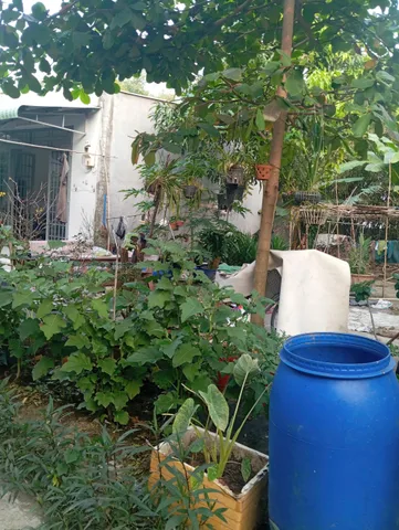Bán đất 120m² full thổ cư ngang 8.90m giá 2.45 tỷ tại Xã Hóc Môn