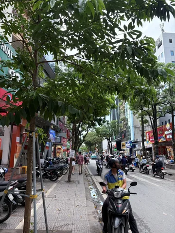 Bán nhà Mặt phố Chùa Láng 45m² full thổ cư ngang 5.5m giá 48 tỷ tại Phường Láng (MUA/BÁN BĐS nhắn tin Zalo 0862299066)