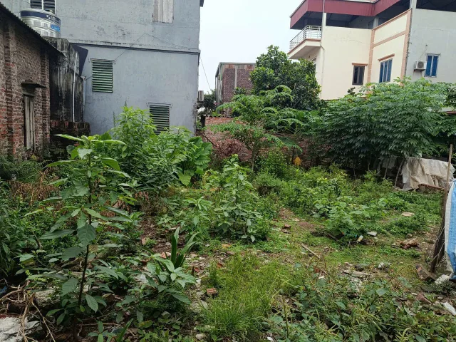 LÔ ĐẤT SIÊU HIẾM TẠI ĐÔNG ANH (7.4 x 12) SĐCC CHỈ 6.5 TỶ. LH:0976272269.