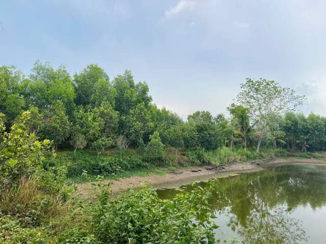 Chính Chủ Bán 20.000m2 Đất Tại Xuyên Mộc - Bà Rịa Vũng Tàu