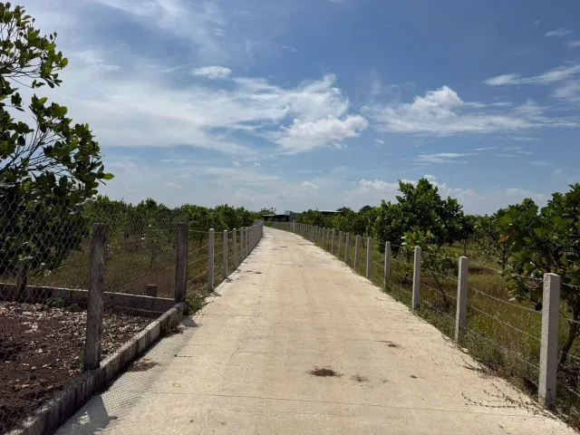 🏡 BÁN ĐẤT MẶT TIỀN BÊ TÔNG LÁNG DÀI (BRVT)– GIÁ SIÊU MỀM CHỈ TỪ 570 TRIỆU/LÔ 🏡