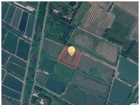 Bán đất 3455m² ngang 56m giá 5.53 tỷ tại Xã Bình Lợi