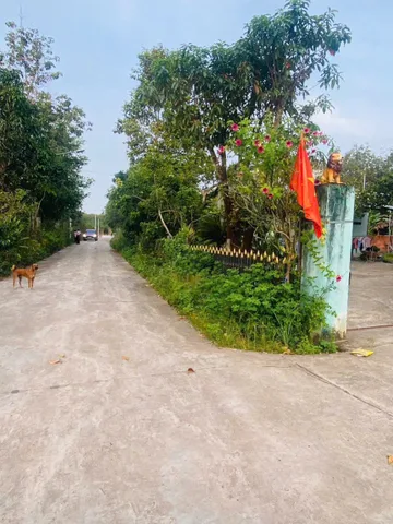 Bán đất 120m² có sẵn 82m² thổ cư ngang 7m giá 790 triệu tại Lai Uyên bàu bàng