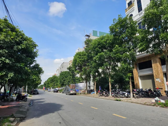 Bán đất mặt nguyễn quyền rộng 22m dãy NLK1 KĐT đại hoàng long. Diện tích 115m mặt tiền 5m hướng tây bắc. Phường võ cường tỉnh bắc ninh
