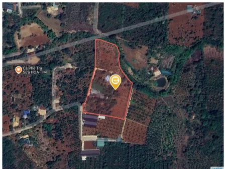 Bán đất 10000m² ngang 78m giá 7.8 tỷ tại Phường Ea Kao
