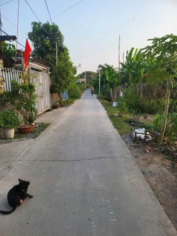 Bán đất 300m² có sẵn 286m² thổ cư ngang 10m giá 5.5 tỷ tại Xã Bình Chánh