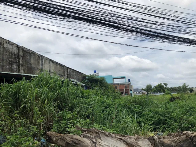 Bán đất 500m² full thổ cư ngang 12m giá 12 tỷ tại Xã Mỹ Hạnh