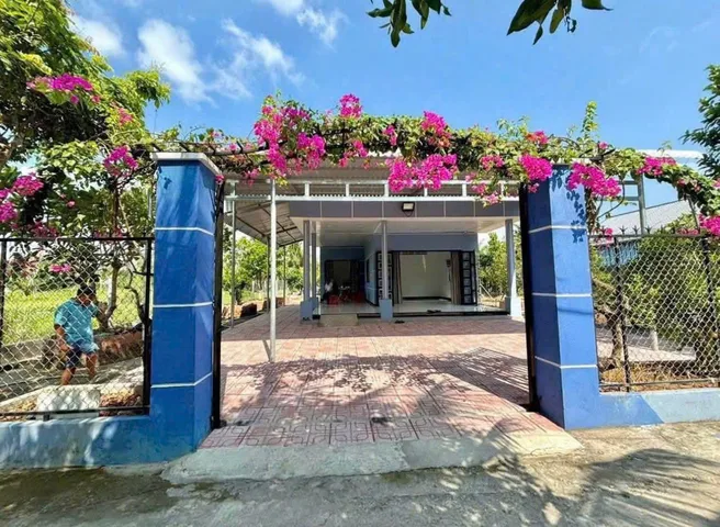 Cần tiền lo Viện Phí bán Gấp 1200m2 đường Nhựa to An Long Phú Giáo cách Ql13  800m