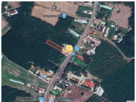 Bán đất 250m² có sẵn 100m² thổ cư ngang 5m tại Xã An Long