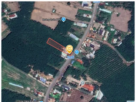 Bán đất 250m² có sẵn 100m² thổ cư ngang 5m tại Xã An Long