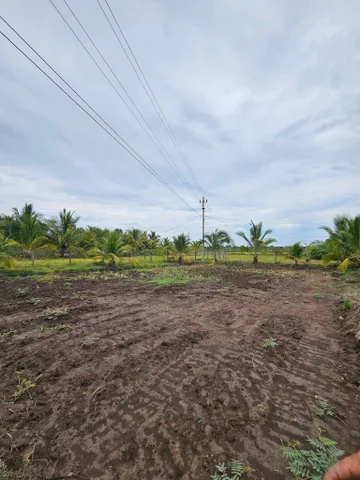 Bán đất 2000m² ngang 50m giá 4.5 tỷ tại Xã Hòa Phú