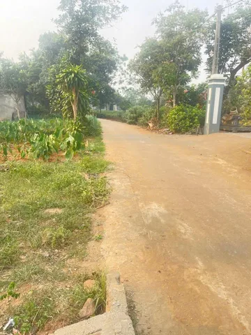 LÔ ĐẤT TIỀM NĂNG KHÔNG THỂ BỎ QUA ĐỐI VỚI NĐT