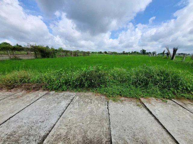 (L995) Đất xã Phước Thạnh, dt 2.528m2, đất ở ONT, giá 3 tỷ 200
