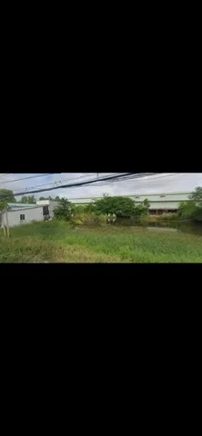 Chính chủ cần bán gấp lô đất đường nhựa giá rẻ xã Lợi Bình Nhơn (nay là phường Khánh Hậu)