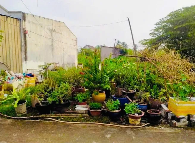 Em cần bán gấp đất ở đường Nguyễn Tri Phương, phường Chánh Nghĩa, TP Thủ Dầu Một
