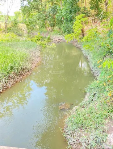 Bán lô đất sào HCM 1200m2 cách đường huyện lộ 32m vào chỉ 500m, ngang 12m có sẵn cây ở đất giá chỉ 1 tỷ