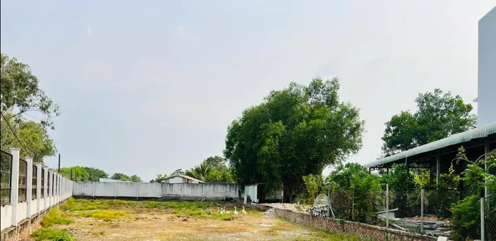 Bán đất 1288m² có sẵn 300m² thổ cư ngang 11m giá 4.5 tỷ tại Xã Nhuận Đức