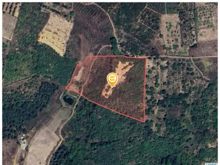 Bán đất 60000m² có sẵn 100m² thổ cư ngang 100m giá 24 tỷ tại Xã Hòa Phú