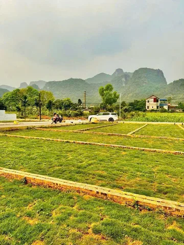 Cần cắt lỗ lô đất Cao Dương, Lương Sơn, Hòa Bình, sẵn sổ đỏ sang tên ngay