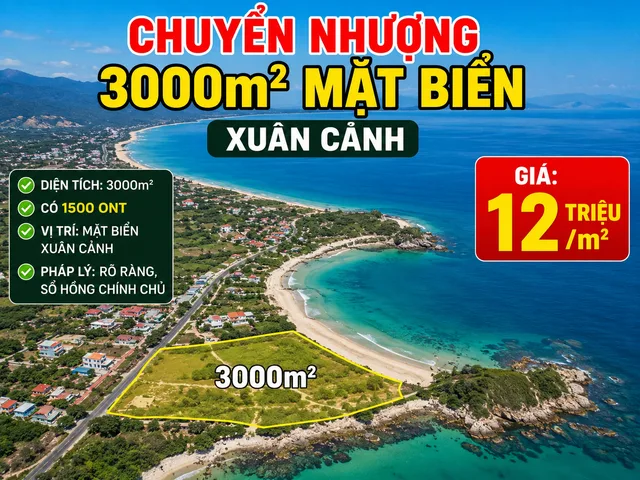 chuyển nhượng 3000m2 mặt biển,xuân cảnh,có 1500 ont giá 12triêu/m2 
Liên hệ 0967923139