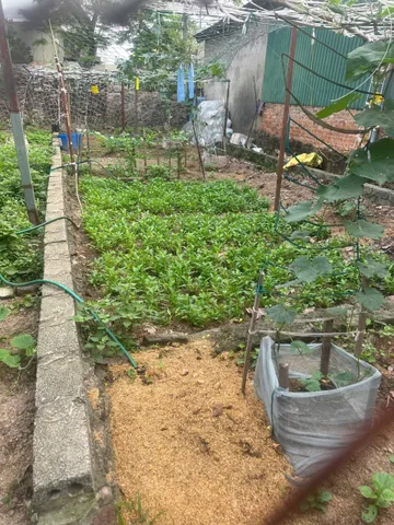 Đất 42m Thư Phú, Chương Dương, hàng đầu tư cực đẹp không thể bỏ lỡ