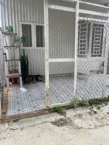 Cho thuê homestay 4 phòng Dã Chiến Hùng Vương Đà Lạt 9 triệu