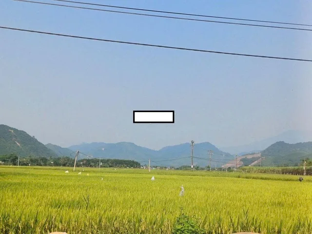 Đất view đồng Hòa Bắc giá tốt 📌📌📌LÀM VIỆC TRỰC TIẾP GIÁ TỐT !!!