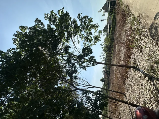 KHU ĐẤT SIÊU VIPP CHO MỌI NGƯỜI AN LINH