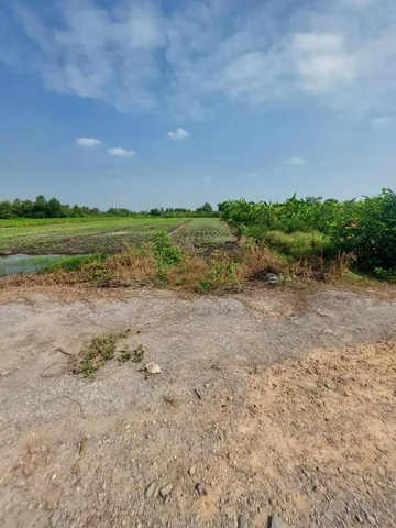 (B345) Đất 1/ Trung An, xã Trung An, dt 5.670m2, giá 2,2tr/m2