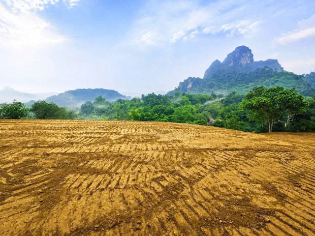 💰 Giá chỉ 1,5 triệu/m² – Gần Hà Nội phù hợp làm Nghỉ dưỡng 🛣️