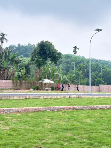 Tly đất Cao Dương Lương sơn Hb