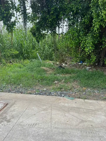 Bán đất 150m² full thổ cư ngang 5m tại Xã Đức Hòa