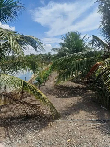 BÁN ĐẤT XÃ BÌNH LỢI - BÌNH CHÁNH, 10.387M2 SẴN 2 SỔ HỒNG CHỈ 2 TỶ/1000M2. LH:0978435476.
