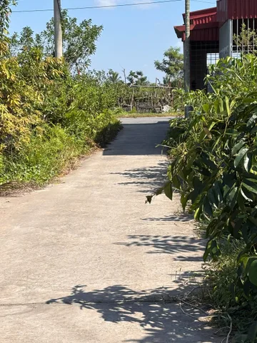 3TT100 TÂN THÀNH DƯƠNG KINH - 100M² NGÕ THÔNG 5M SÁT KCN - ZÁ CHỈ 2,1X TỶ