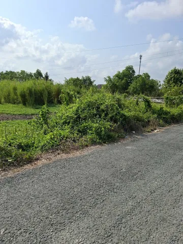 Bán đất 2000m² ngang 30m giá 6 tỷ tại Xã Tân Nhựt