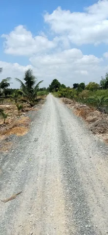 Bán đất 6500m² ngang 65m giá 17 tỷ tại Xã Bình Lợi