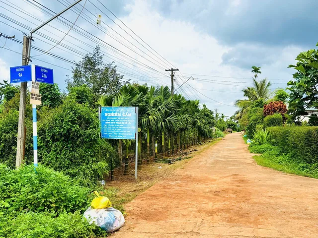 1TỶ450 SỞ HỮU ĐẤT VIEW HỒ ĐẠT LÝ, GẦN TRUNG TÂM BMT, SỔ RIÊNG 144m, 6m