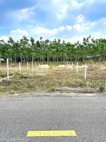 Không thể Gồng Lãi ra nhanh 250m2 nhựa to ở Minh Hưng, Cắt lỗ 30%